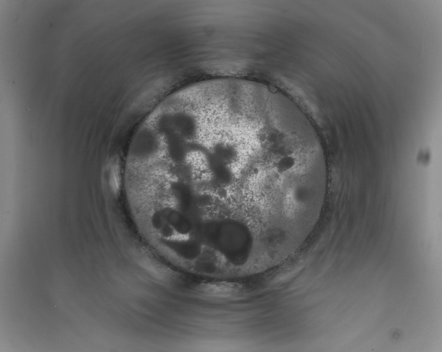 X0000090860069200708171614