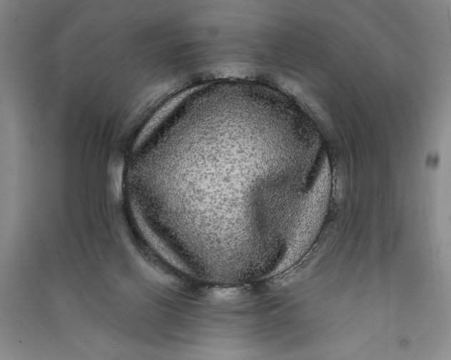 X0000090860070200708171614