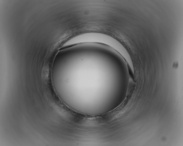 X0000090860072200708171614