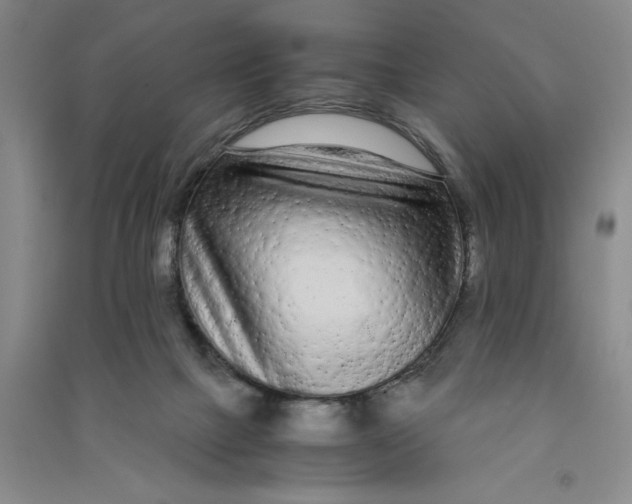 X0000090860073200708171614