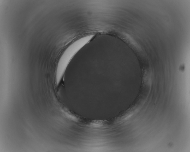 X0000090860076200708171614