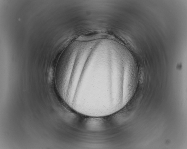 X0000090860077200708171614