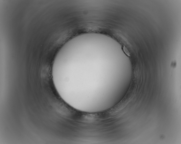 X0000090860079200708171614
