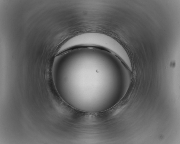X0000090860080200708171614