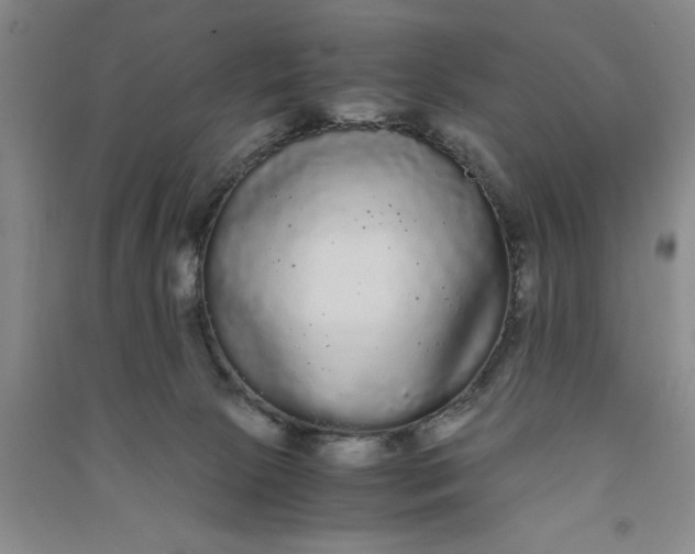 X0000090860081200708171614