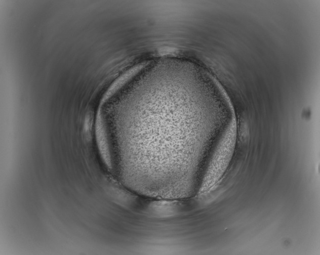 X0000090860082200708171614