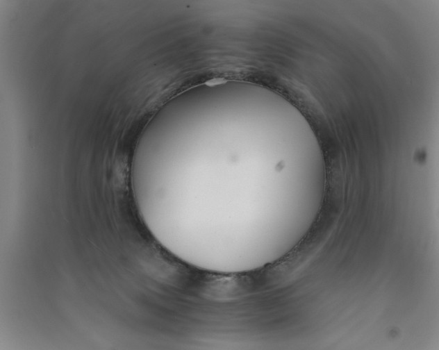 X0000090860083200708171614