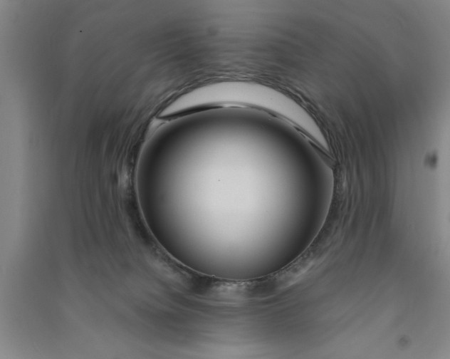 X0000090860084200708171614