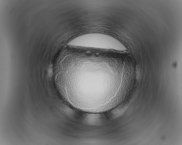 X0000090860085200708171614