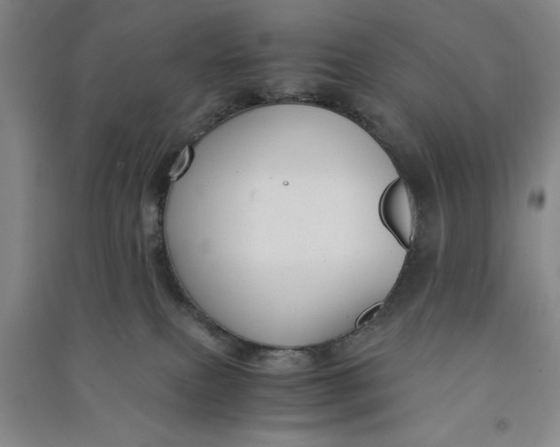 X0000090860087200708171614