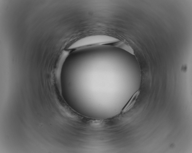 X0000090860088200708171614