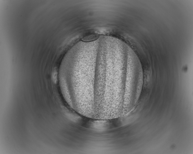 X0000090860090200708171614