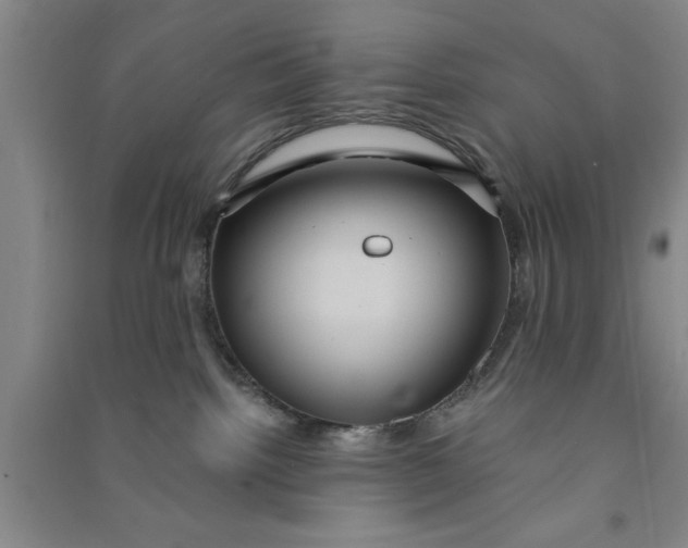 X0000090860092200708171614