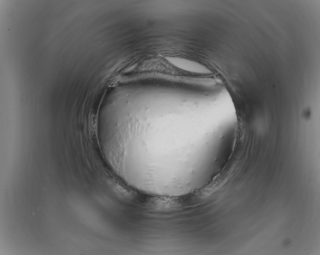 X0000090860093200708171614