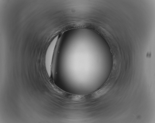 X0000090860096200708171614