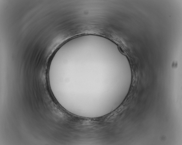 X0000090860098200708171613