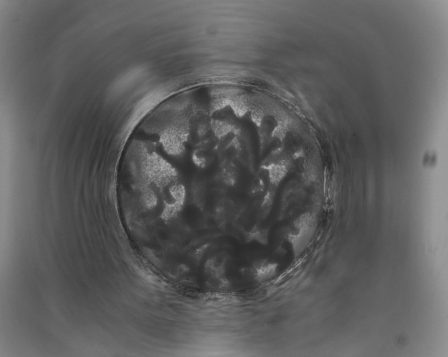 X0000090860099200708171613