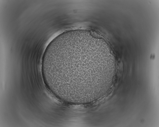 X0000090860100200708171613