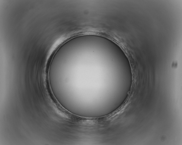 X0000090860102200708171613