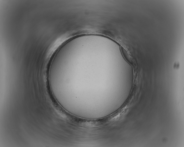 X0000090860103200708171613