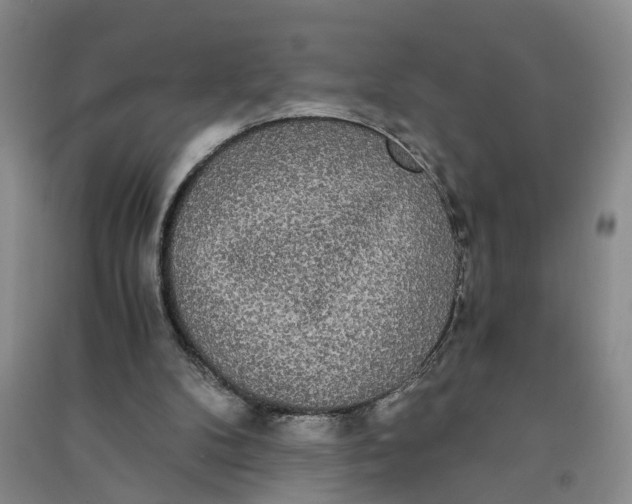 X0000090860104200708171613