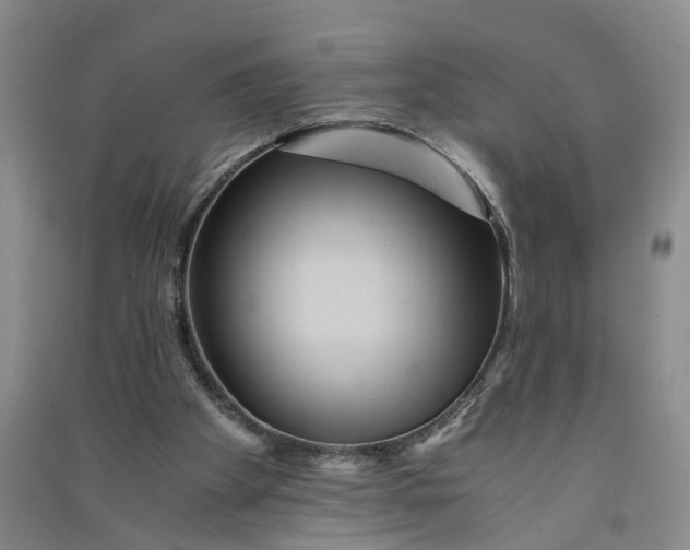 X0000090860105200708171613