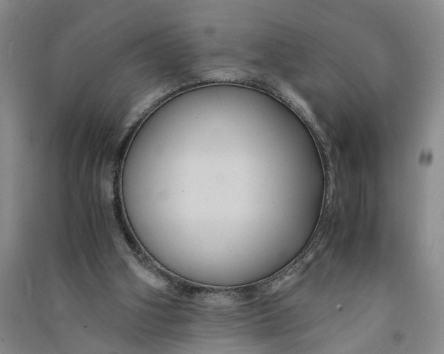 X0000090860106200708171613