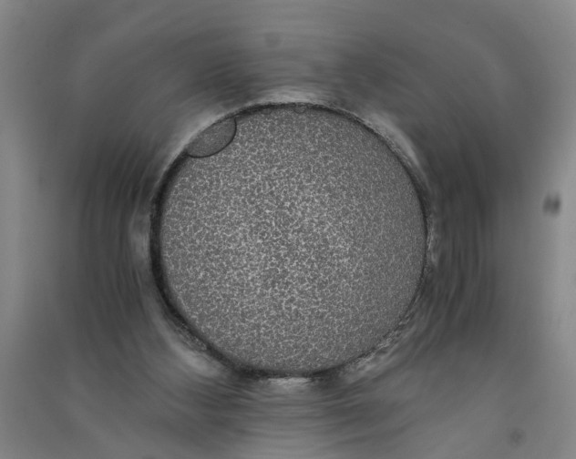 X0000090860108200708171613
