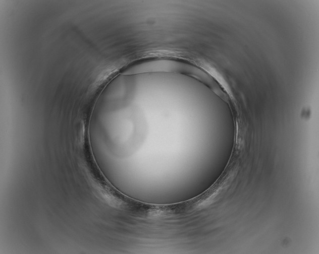 X0000090860109200708171613