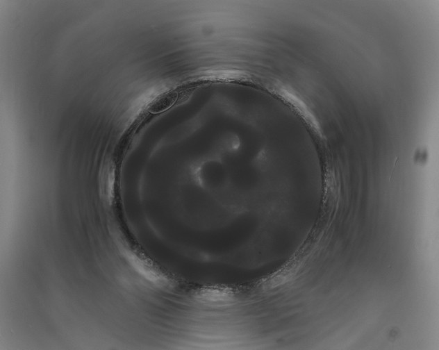 X0000090860110200708171613