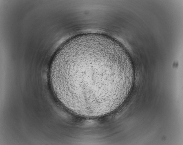 X0000090860111200708171613