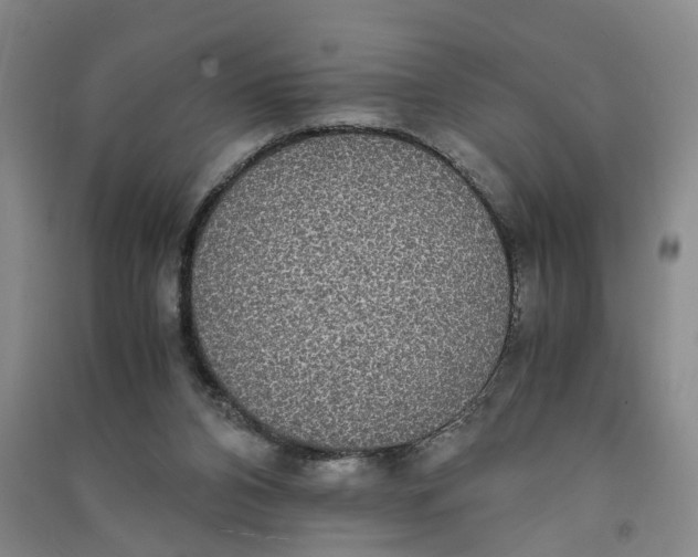 X0000090860112200708171613