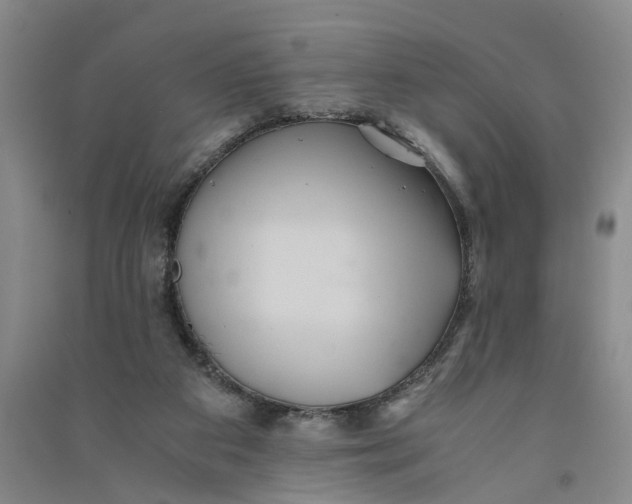X0000090860113200708171613