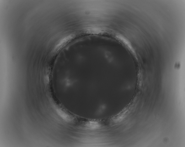 X0000090860114200708171613