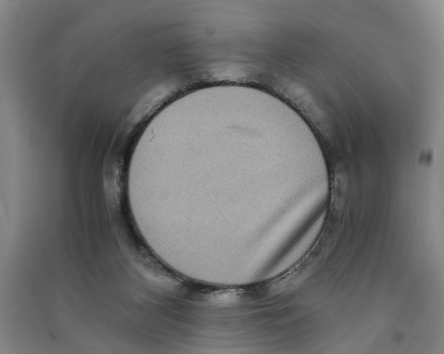 X0000090860116200708171613