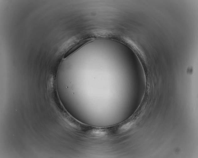 X0000090860117200708171613