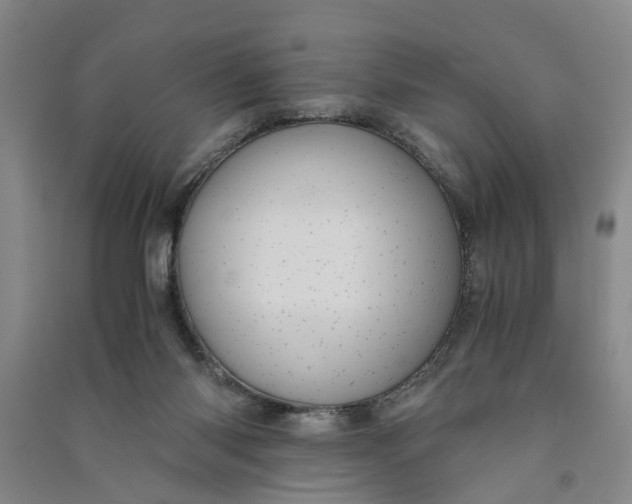 X0000090860118200708171613
