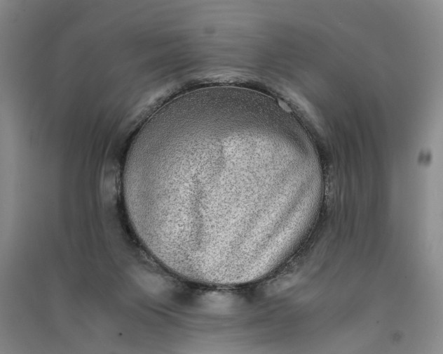 X0000090860119200708171613