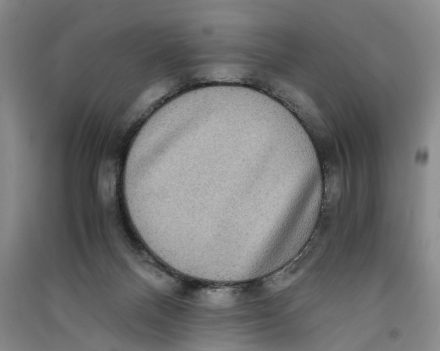 X0000090860120200708171613