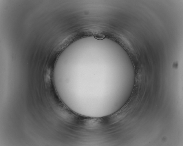 X0000090860122200708171613