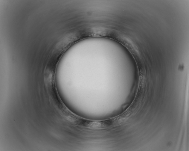X0000090860123200708171613