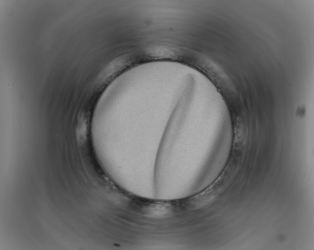 X0000090860124200708171613
