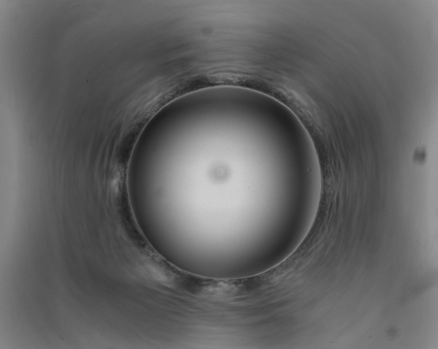 X0000090860125200708171613