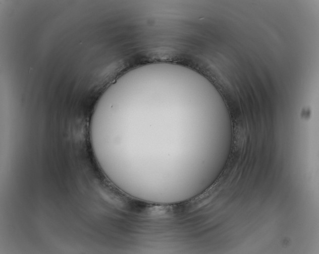 X0000090860126200708171613