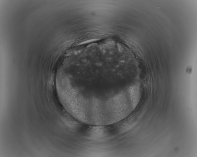 X0000090860127200708171613