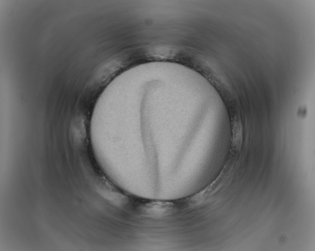 X0000090860128200708171613