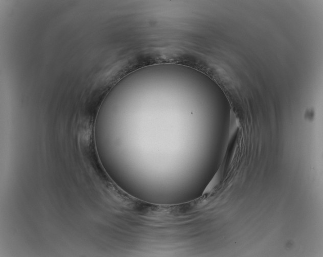 X0000090860129200708171613
