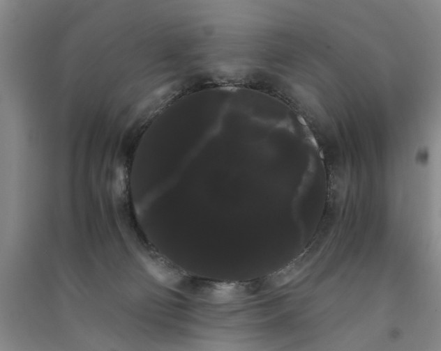 X0000090860130200708171613