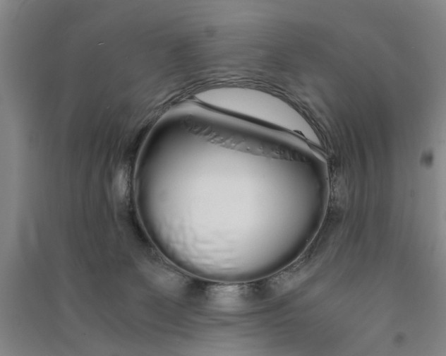 X0000090860131200708171613