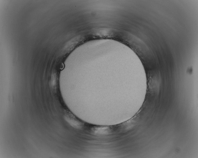 X0000090860132200708171613